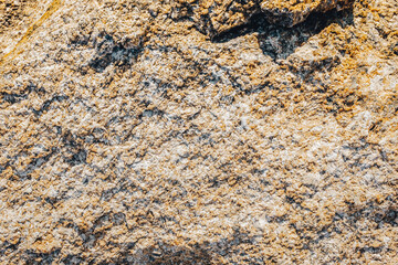 Texture of yellowish stone worn by the passage of time