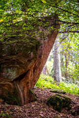 Sandstone rocks with green vegetation surrounded by trees