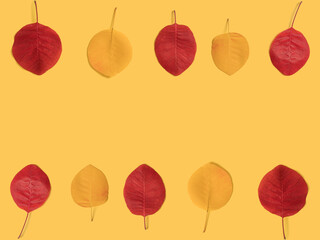 Obraz premium Autumn leaf on a yellow background. In the form of a frame. Autumn concept.