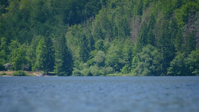 Telephoto view of lake Bohinj shore on hot summer day. Beautiful pond and mountains covered with trees. Amazing Alpine lake in Slovenia. Low angle view of mirage. Static shot, real time