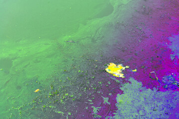 The water is contaminated with algae. A river within the city, polluted with algae