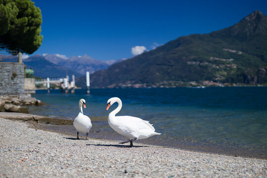 Bella Italia - Lago di Como