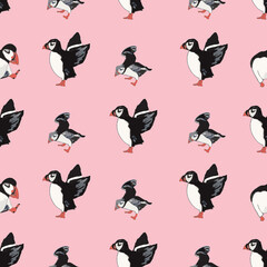 Vector pink background ocean seabird, arctic birds, puffins. Seamless pattern background