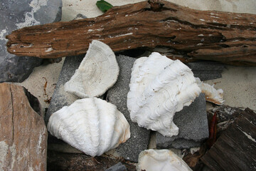 Thailand islands sea shore beach rocks white coral sand blue sky