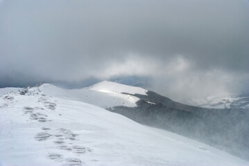Blizzard on a mountain ridge, Bieszczady Mountains, Poland