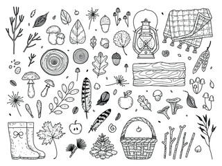Vector set of autumn elements dried herbs, leaves, mushrooms, kerosene lantern, rain boots, basket, saw cut wood, knitted blanket, feathers. Cute forest treasures and hiking items.