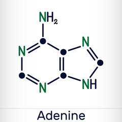 Adenine, Ade  molecule. It is purine nucleobase, fundamental unit of the genetic code in DNA and RNA. Skeletal chemical formula