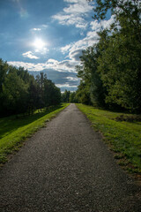 path with green trees in the forest, beautiful alley, path in the park, path through the summer forest in the czech republic, moravia, the sun at noon, path for active leisure