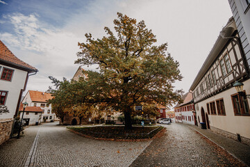 Thüringen - Arnstadt Innenstadt