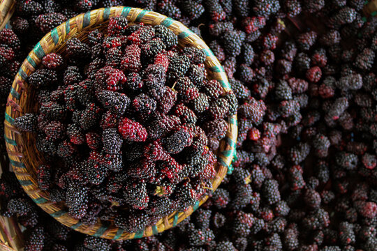 Moras silvestres en una cesta