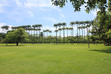 Burle-Marx Municipal park in S&atilde;o Jos&eacute; dos Campos, SP, Brazil.