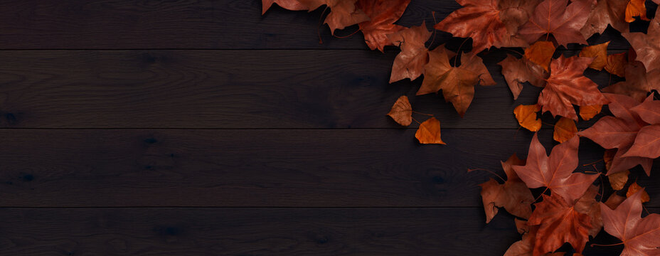 Dark wood Surface with leaf border.