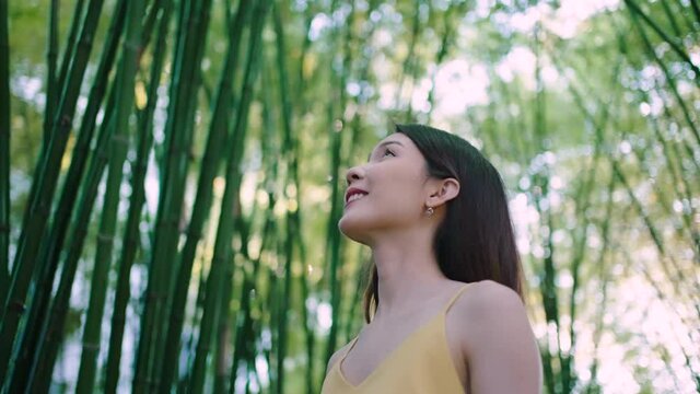 Happy Asian woman walking under beautiful bamboo forest. Female traveling eco-tourism