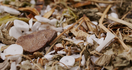 Traditional culture chinese herbal medicine