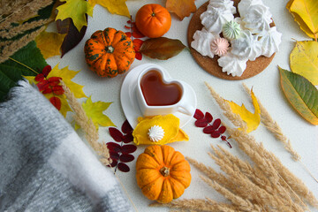 autumn still life with pumpkin, heart-shaped mug with tea and sweets cookies, blanket. pumpkin and leaves. autumn leaves and fruits