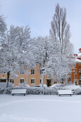 winter in the city, street in the city center of Stockholm in winter, winter in Stockholm