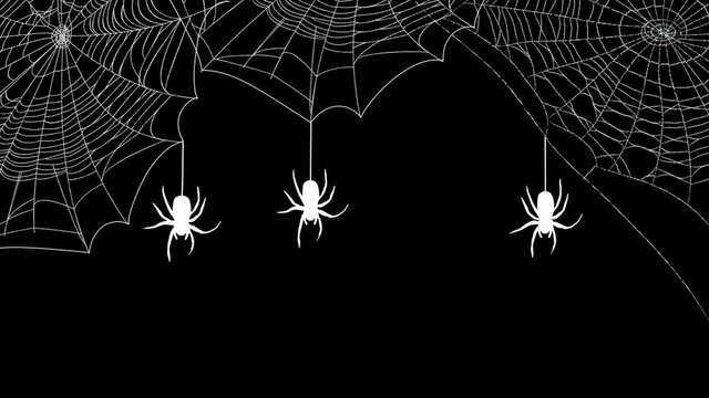 Three white spiders weaving web on transparent alpha channel background. Halloween white spiders hanging on cobweb on black background
