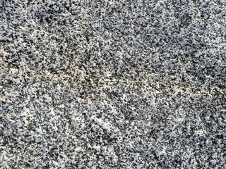 San Antonio Creek Faint White Band in Coarse-Grain Igneous Rock