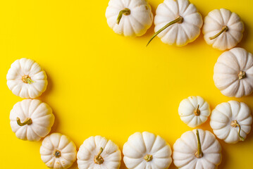 beautiful decorative pumpkin on a yellow background. High quality photo