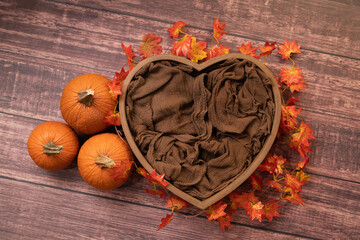 Newborn digital backdrop/background, fall Halloween, pumpkin backdrop, heart/love backdrop