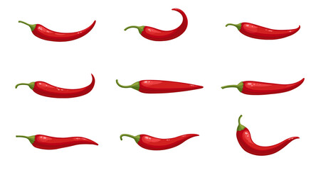 Vector set of realistic hot chilli peppers, large chilly pepper collection isolated on white. Flat vector illustration, cartoon style vegetables. - obrazy, fototapety, plakaty