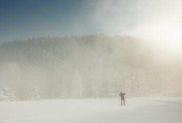 skieur dans la brume en hiver