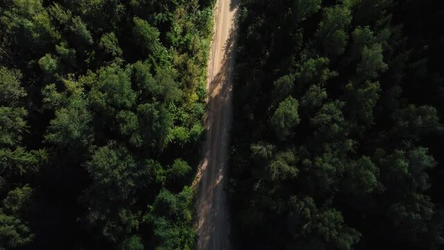 Dump truck drives on a country road through a forest from a quarry with a body loaded with sand. Aerial view from quadcopter to mooving car with camera tilting down at sunny day