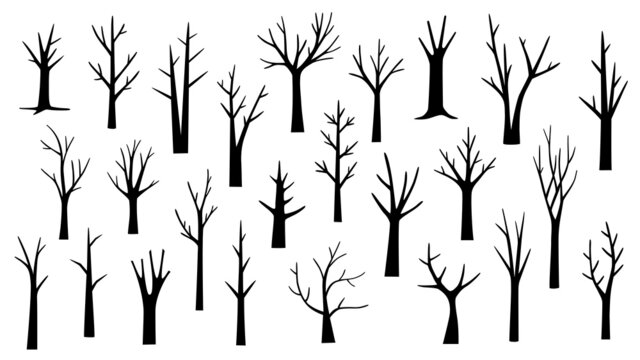 bare trees black silhouette vector illustrations