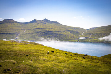 landscape with fjord and mountains, streymoy island, faroe islands, north atlantic, europe