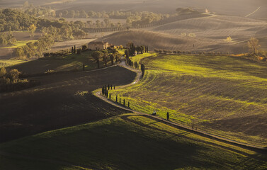 Early morning beautiful Tuscany hills landscape view with plowed and green grass covered wavy fields. Sunrise light covers the meadows and fields making magic light-shadows playing.