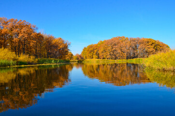 nature beautiful view from the river to the banks in autumn bright colors selective focus