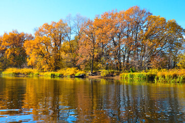 autumn trees by the river are reflected in the water selective focus