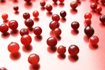 Tasty fresh cranberries on color background, closeup
