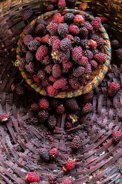 Moras en un cesto