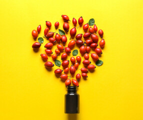 Composition with bottle and ripe rose hip berries on yellow background