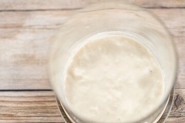 Sourdough starter
