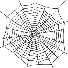 Obraz premium Hand-drawn spider web