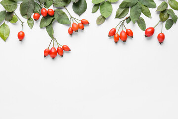 Composition with fresh rose hip berries and leaves on white background - obrazy, fototapety, plakaty