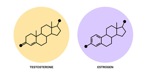 Testosterone and estrogen