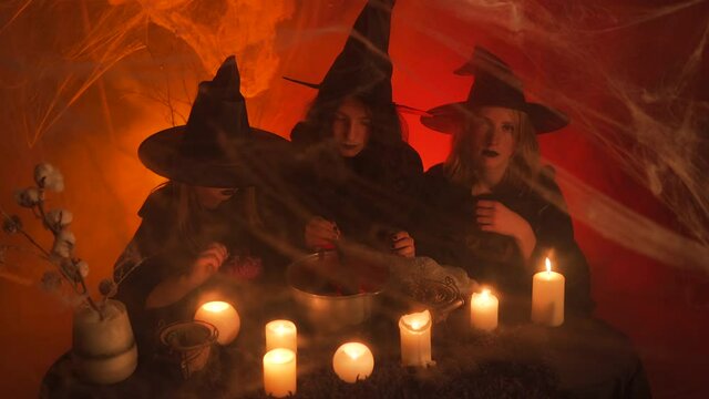 Three young witches near the ritual cauldron. One is looking at the cat, the second is interfering with the magic potion, and the third is sticking pins into the voodoo doll.