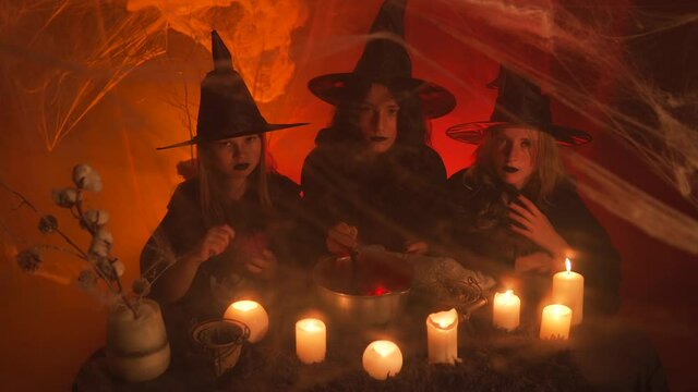 Three young witches near the ritual cauldron.Without taking her eyes off the camera, one looks at the cat, the second interferes with the magic potion, and the third pins the pins into the voodoo doll