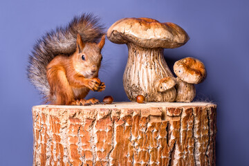 A very cute squirrel sitting on a stump eating nuts.