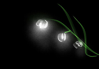 Sketch of a blooming lander © PaulShlykov