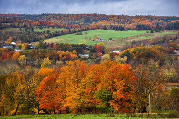autumn landscape in the mountains