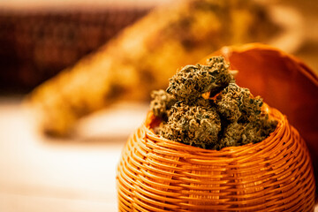 Cannabis in harvest basket with corn