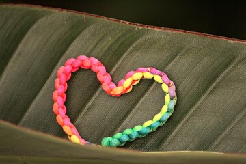 Colorful heart braided on the leaf. 