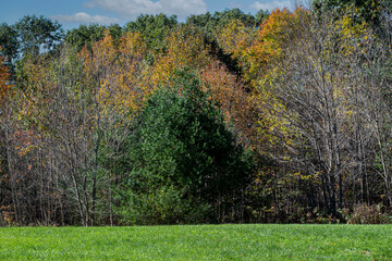 autumn at moore state park