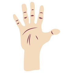 hand drawn finger five on white background.