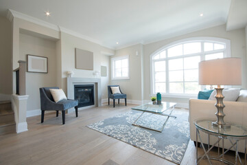 Modern Living Room with Furniture
