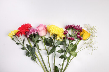 Daisy chrysanthemum mum rose baby breath flower red yellow pink purple violet on white background row border line bouquet